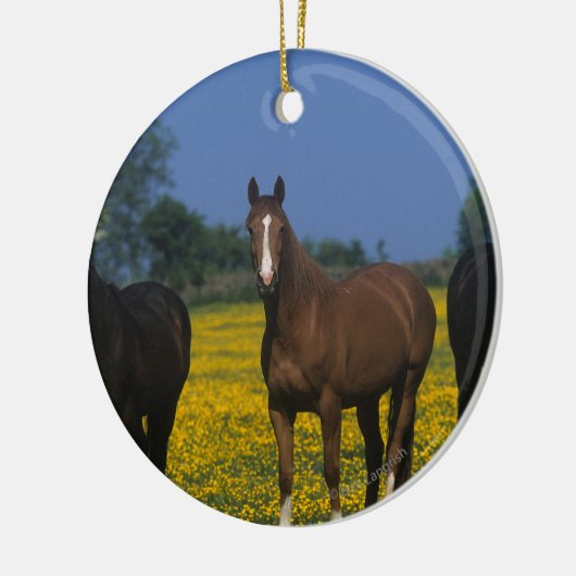 Groep van Thoroughbred Horses Keramisch Ornament (Links)