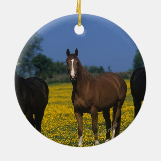 Groep van Thoroughbred Horses Keramisch Ornament (Achterkant)