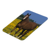 Groep van Thoroughbred Horses Magneet (Linkerzijde)