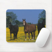 Groep van Thoroughbred Horses Muismat (Met muis)