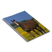 Groep van Thoroughbred Horses Notitieboek (Rechterzijde)