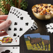 Groep van Thoroughbred Horses Pokerkaarten (Insitu)