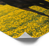 Groep van Thoroughbred Horses Poster (Hoek)