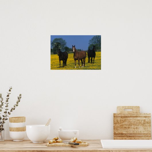 Groep van Thoroughbred Horses Poster (Keuken)