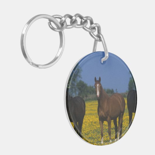 Groep van Thoroughbred Horses Sleutelhanger (Voorkant Links)