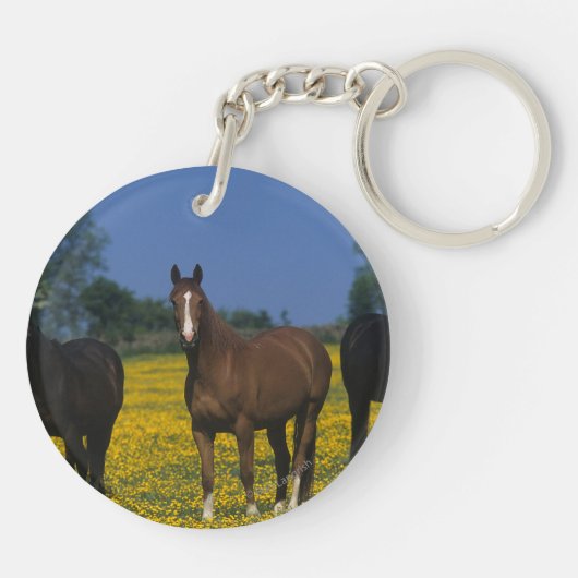 Groep van Thoroughbred Horses Sleutelhanger (Achterkant)