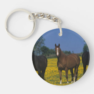 Groep van Thoroughbred Horses Sleutelhanger