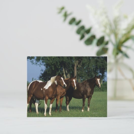 Groep van verfpaarden briefkaart (Staand voorkant)