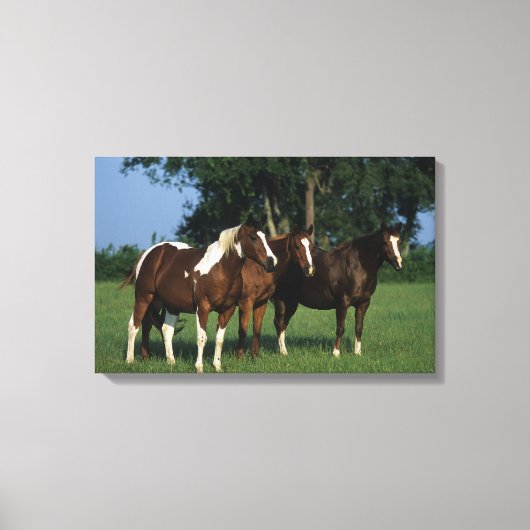 Groep van verfpaarden canvas afdruk (Voorkant)