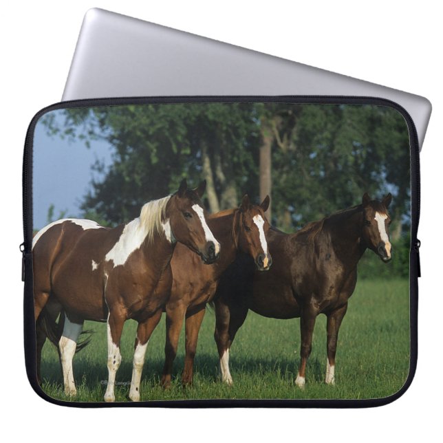 Groep van verfpaarden laptop sleeve (Voorkant)