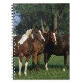 Groep van verfpaarden notitieboek (Voorkant)