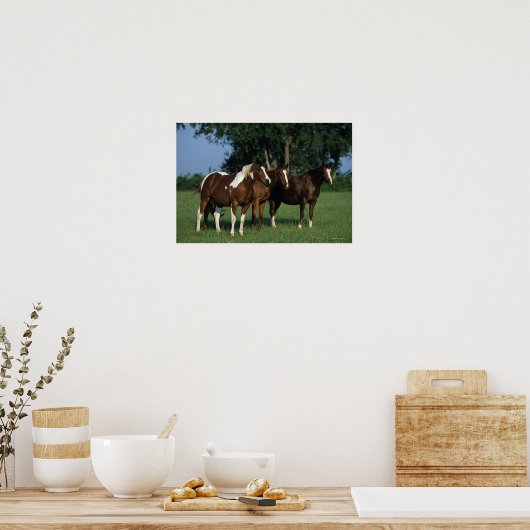 Groep van verfpaarden poster (Keuken)