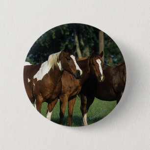 Groep van verfpaarden ronde button 5,7 cm
