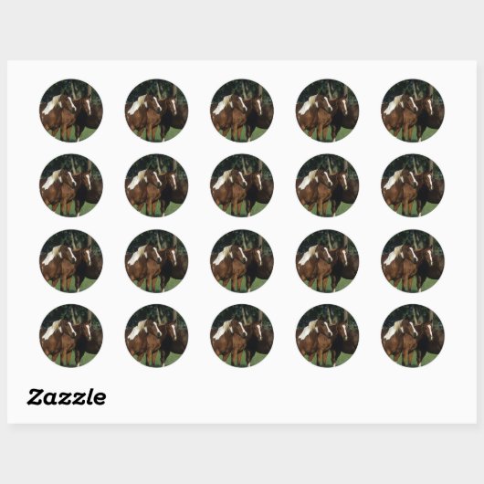 Groep van verfpaarden ronde sticker (Vel)