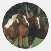 Groep van verfpaarden ronde sticker (Voorkant)