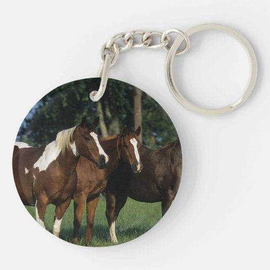 Groep van verfpaarden sleutelhanger (Achterkant)