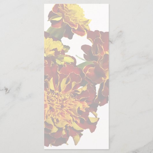 Groep van verschillende soorten Marigolds Menu (Achterkant)