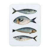 Groep van vier vissen magneet (Verticaal)