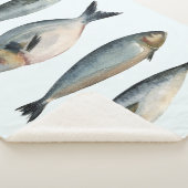 Groep van vier vissen sherpa deken (3/4)