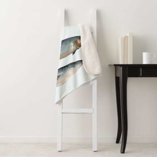 Groep van vier vissen sherpa deken (In situ)