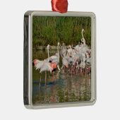 Groep van vlamingos in Camargue Metalen Ornament (Rechts)