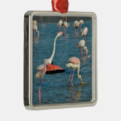 Groep van vlamingos in Camargue Metalen Ornament (Rechts)