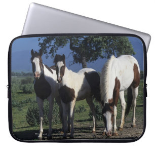 Groep verf paarden laptop sleeve