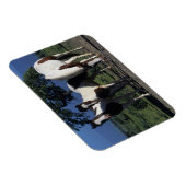 Groep verf paarden magneet (Rechterzijde)