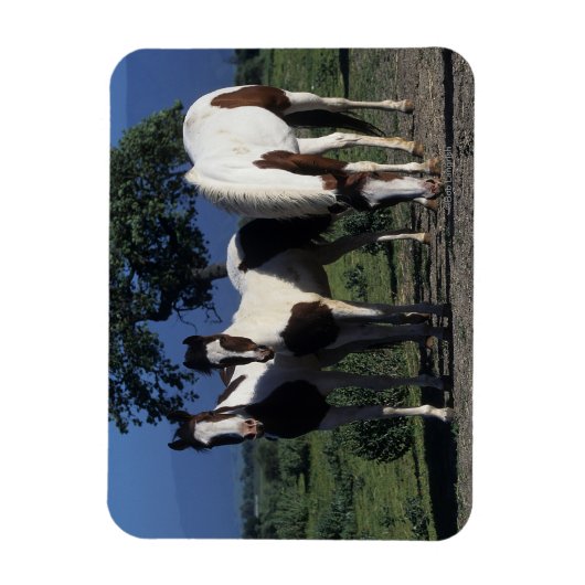 Groep verf paarden magneet (Verticaal)