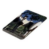 Groep verf paarden magneet (Linkerzijde)