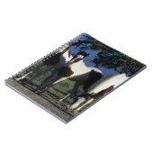 Groep verf paarden notitieboek (Linkerzijde)