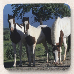 Groep verf paarden onderzetter