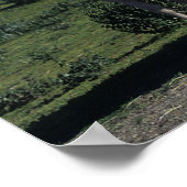 Groep verf paarden poster (Hoek)