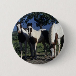 Groep verf paarden ronde button 5,7 cm