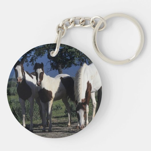 Groep verf paarden sleutelhanger (Achterkant)