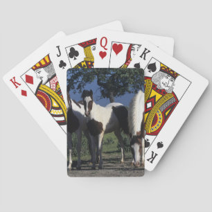 Groep verf paarden speelkaarten