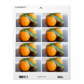 Groep verse tangerines etiket (Full Sheet)