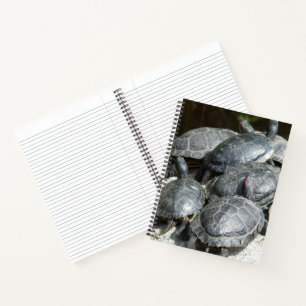 Groep Vijver Schildpadden Foto Notitieboek