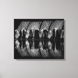 Groep vlaktezebra's drink 's nachts samen canvas afdruk