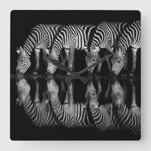 Groep vlaktezebra's drink 's nachts samen vierkante klok