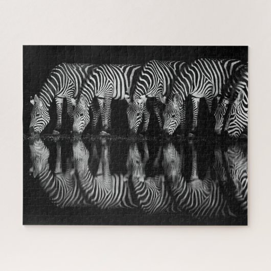 Groep vlaktezebras drinkt 's nachts samen legpuzzel (Horizontaal)