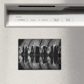 Groep vlaktezebras drinkt 's nachts samen magneet (Insitu (Vaatwasser))
