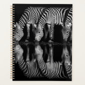 Groep vlaktezebras drinkt 's nachts samen planner (Voorkant)