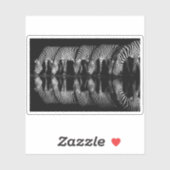 Groep vlaktezebras drinkt 's nachts samen sticker (Vel)