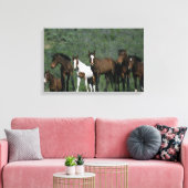 Groep wilde Mustang Paarden Canvas Afdruk (Insitu (Woonkamer))