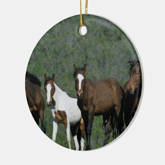 Groep wilde Mustang Paarden Keramisch Ornament (Links)