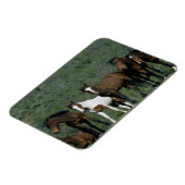 Groep wilde Mustang Paarden Magneet (Linkerzijde)