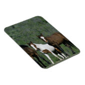 Groep wilde Mustang Paarden Magneet (Rechterzijde)