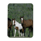 Groep wilde Mustang Paarden Magneet (Verticaal)