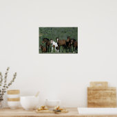 Groep wilde Mustang Paarden Poster (Keuken)